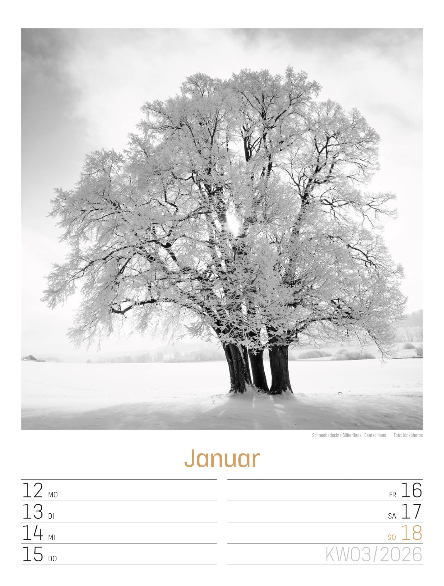 9783838436265_innenansicht_05 9783838436265_innenansicht_05.jpg