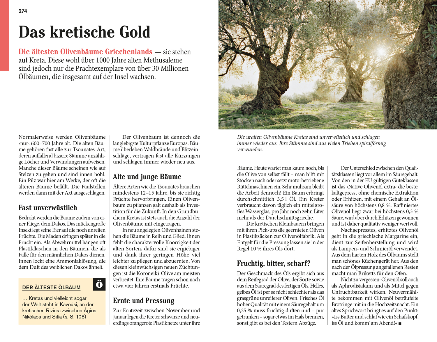 9783616021294_innenansicht_06 9783616021294_innenansicht_06.jpg