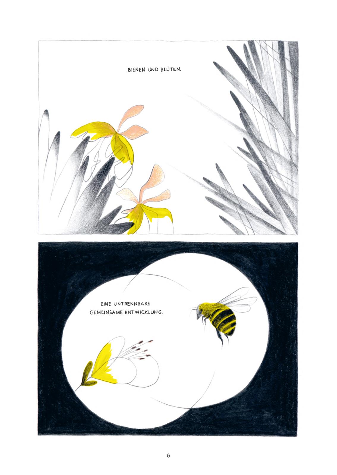 9783551781086_innenansicht_02 9783551781086_innenansicht_02.jpg