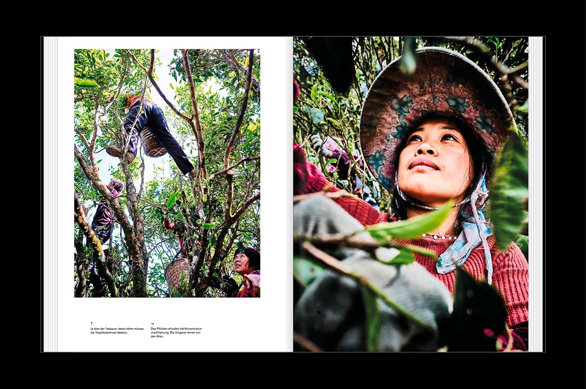 9783948440169_innenansicht_07 9783948440169_innenansicht_07.jpg