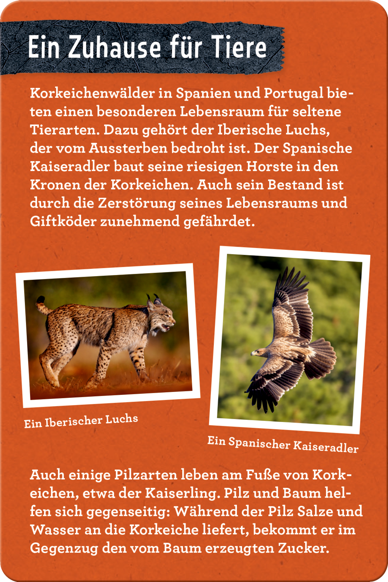 9783649648086_innenansicht_04 9783649648086_innenansicht_04.jpg