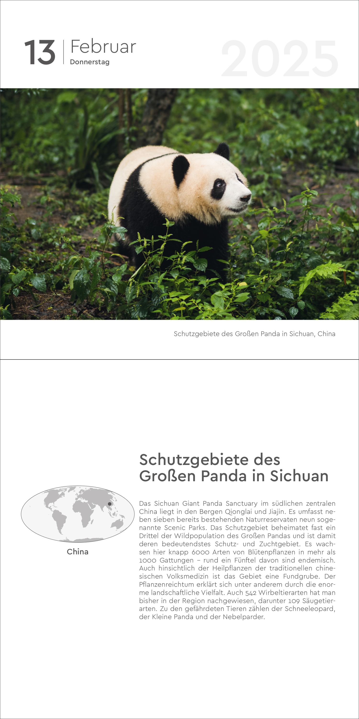 9783965913837_innenansicht_08.jpg