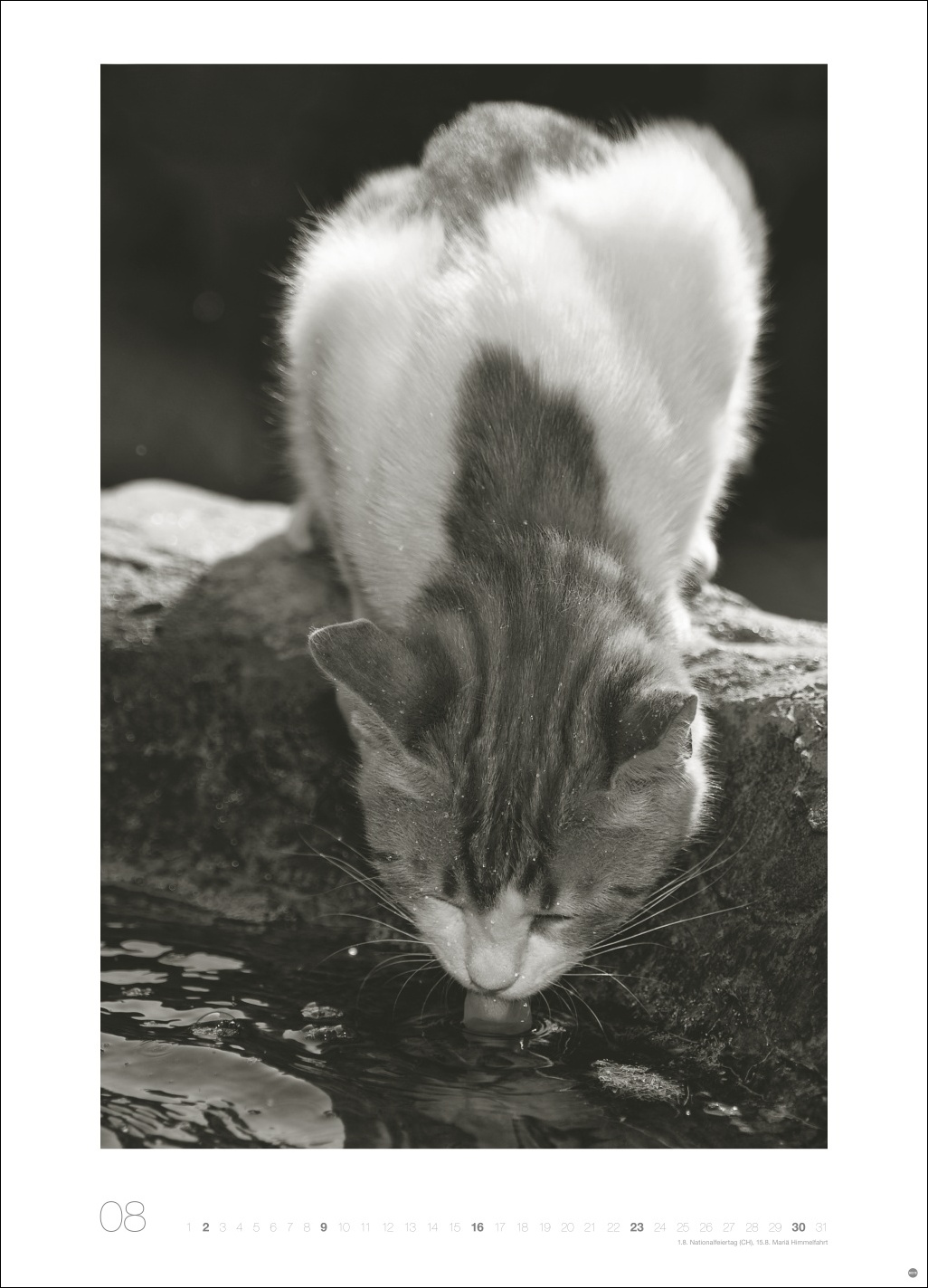 9783756411313_innenansicht_08 9783756411313_innenansicht_08.jpg