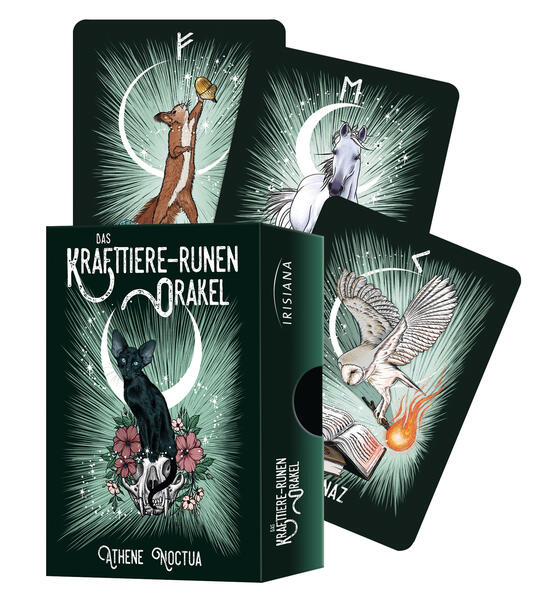 4250939900216 4250939900216