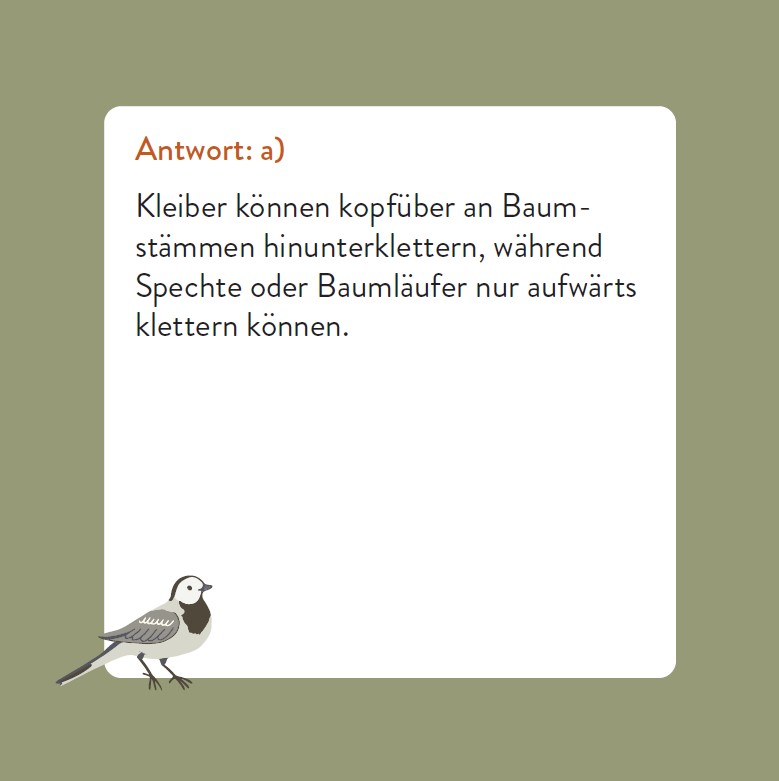 9783747206768_innenansicht_02.jpg