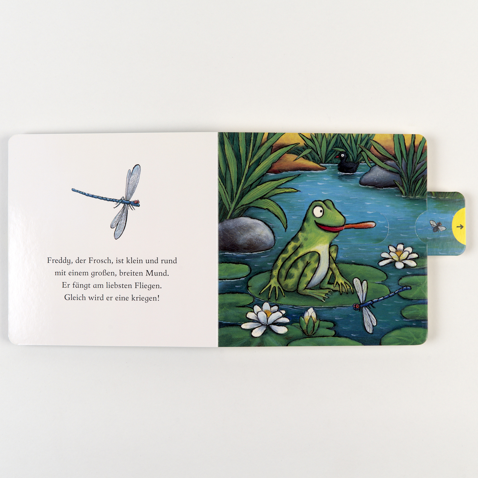 9783407759597_innenansicht_04 9783407759597_innenansicht_04.jpg