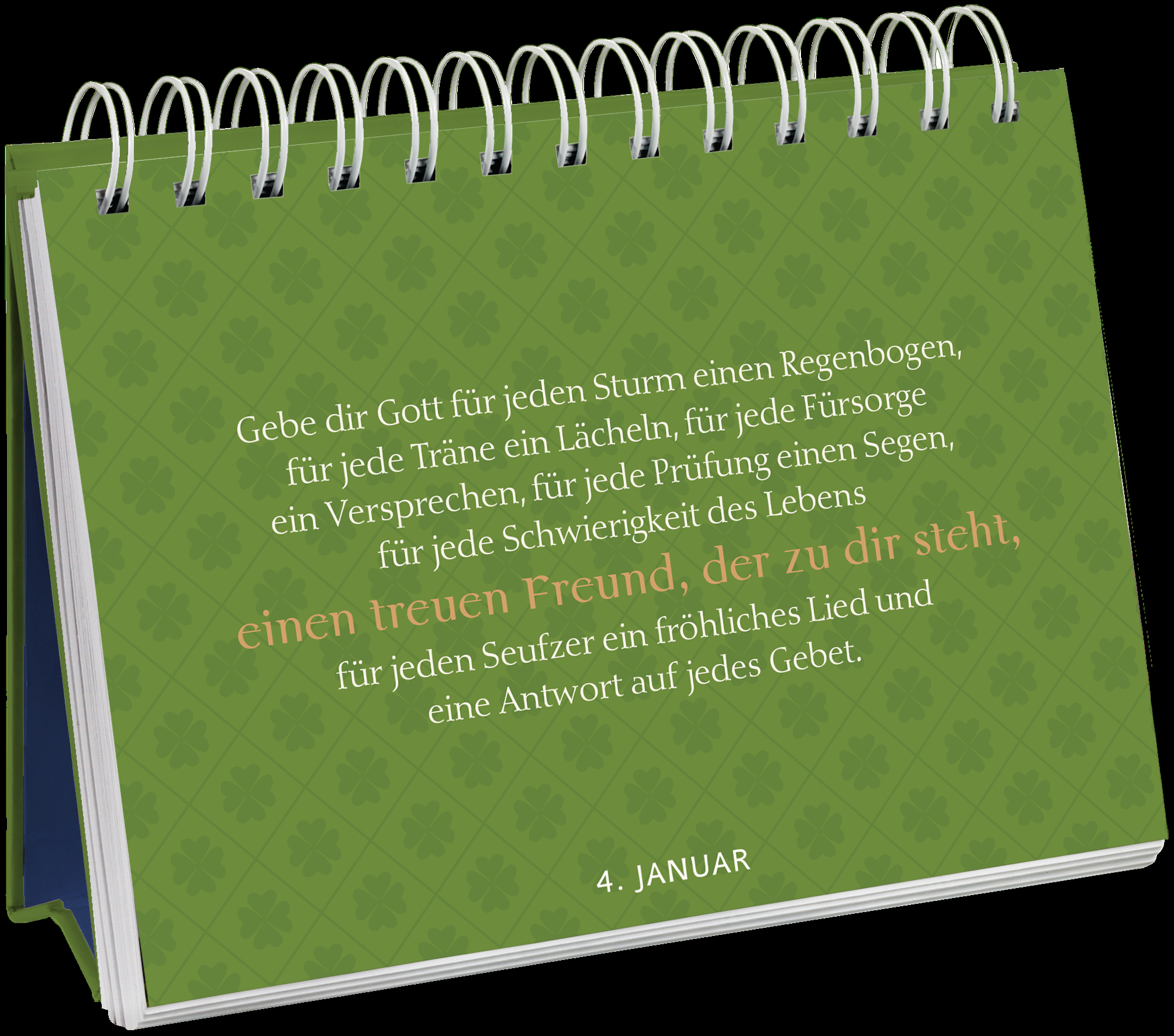 9783629006592_innenansicht_05.jpg