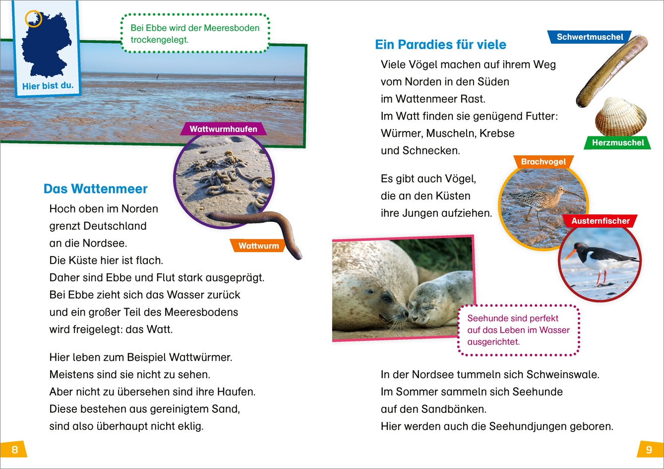 9783788676773_innenansicht_02.jpg