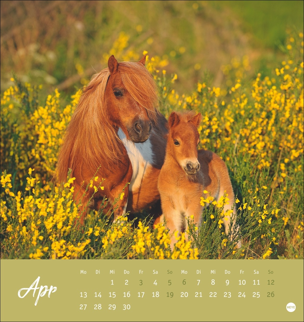 9783756410477_innenansicht_04 9783756410477_innenansicht_04.jpg