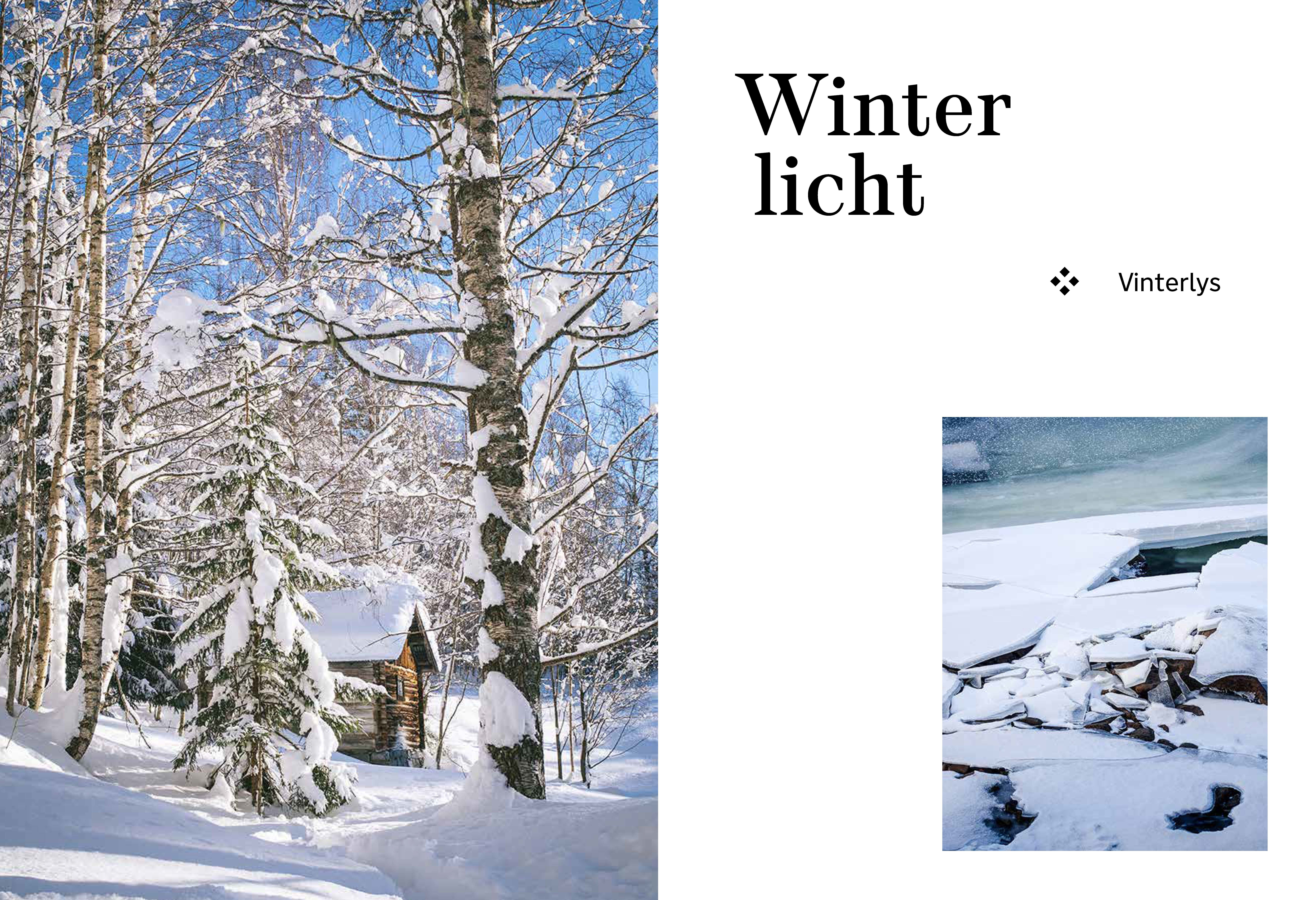 9783791388601_innenansicht_12.jpg