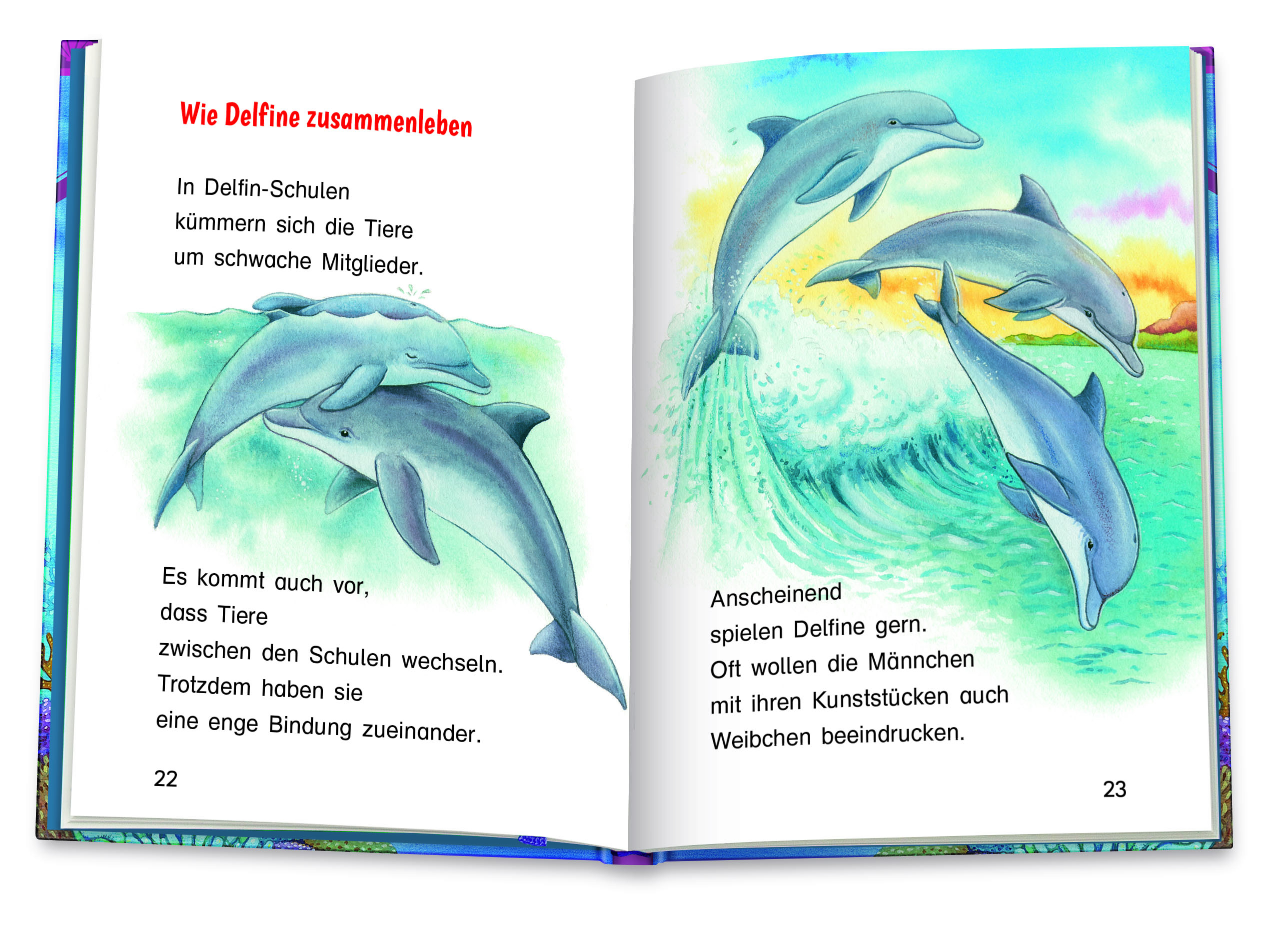 9783401718347_innenansicht_01.jpg
