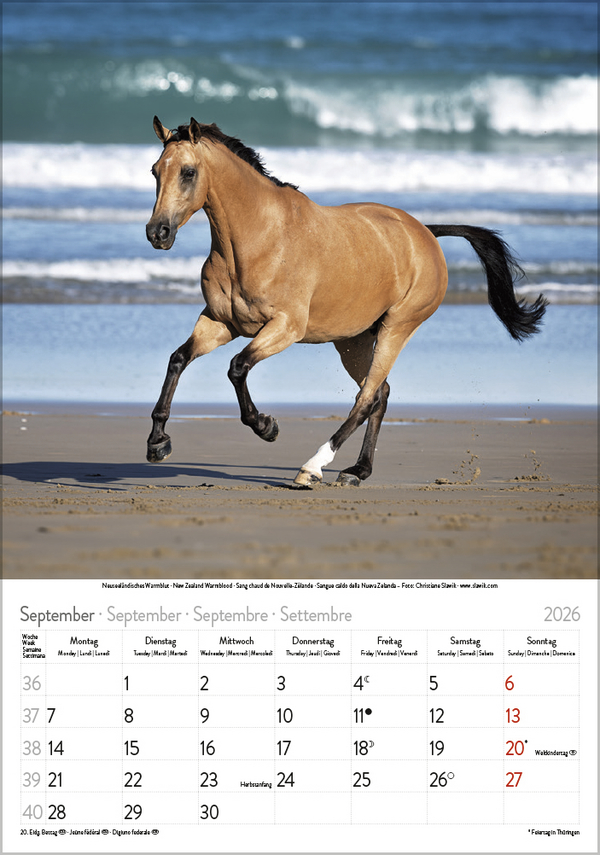 9783731883623_innenansicht_09 9783731883623_innenansicht_09.jpg