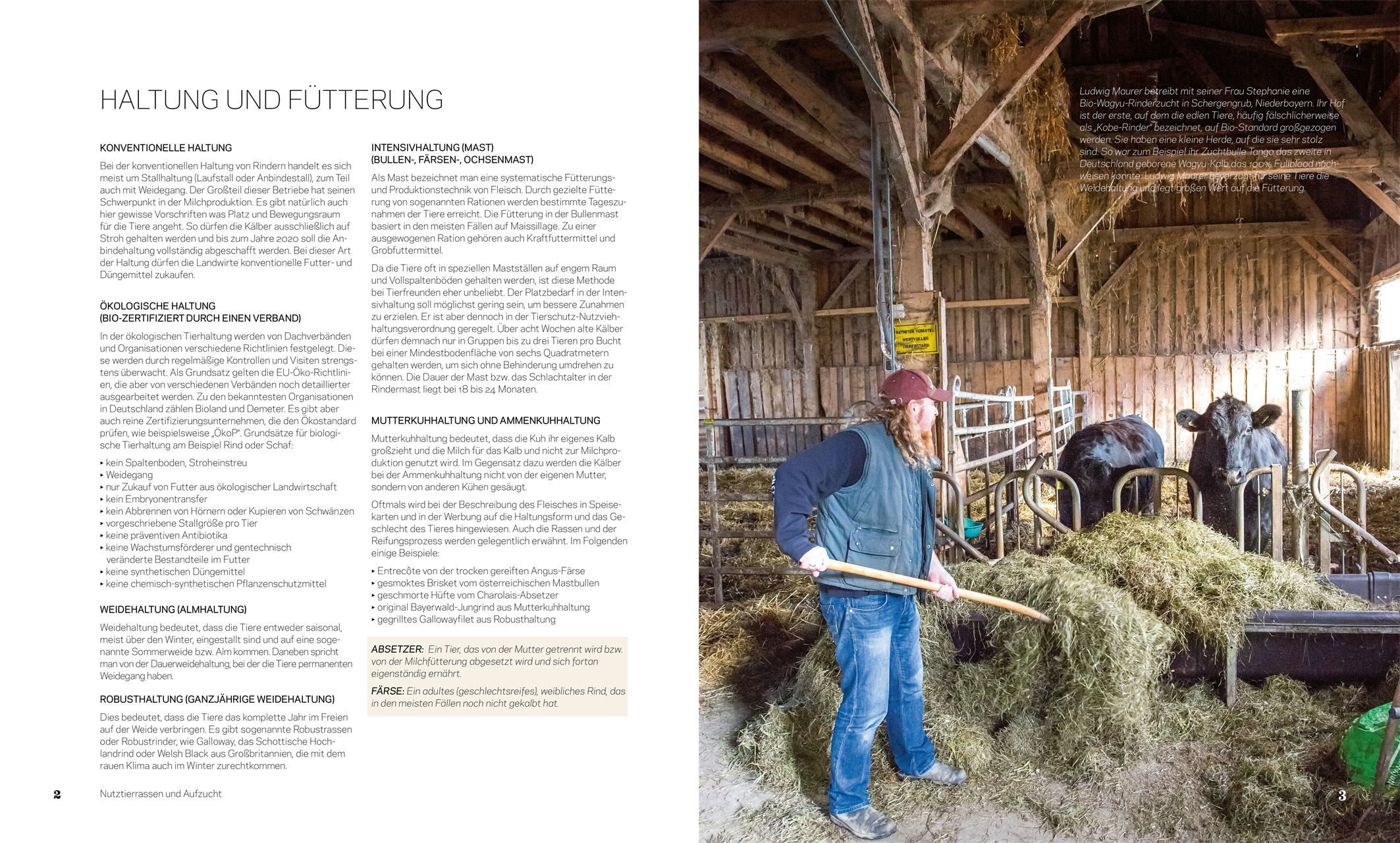 9783985410613_innenansicht_01 9783985410613_innenansicht_01.jpg