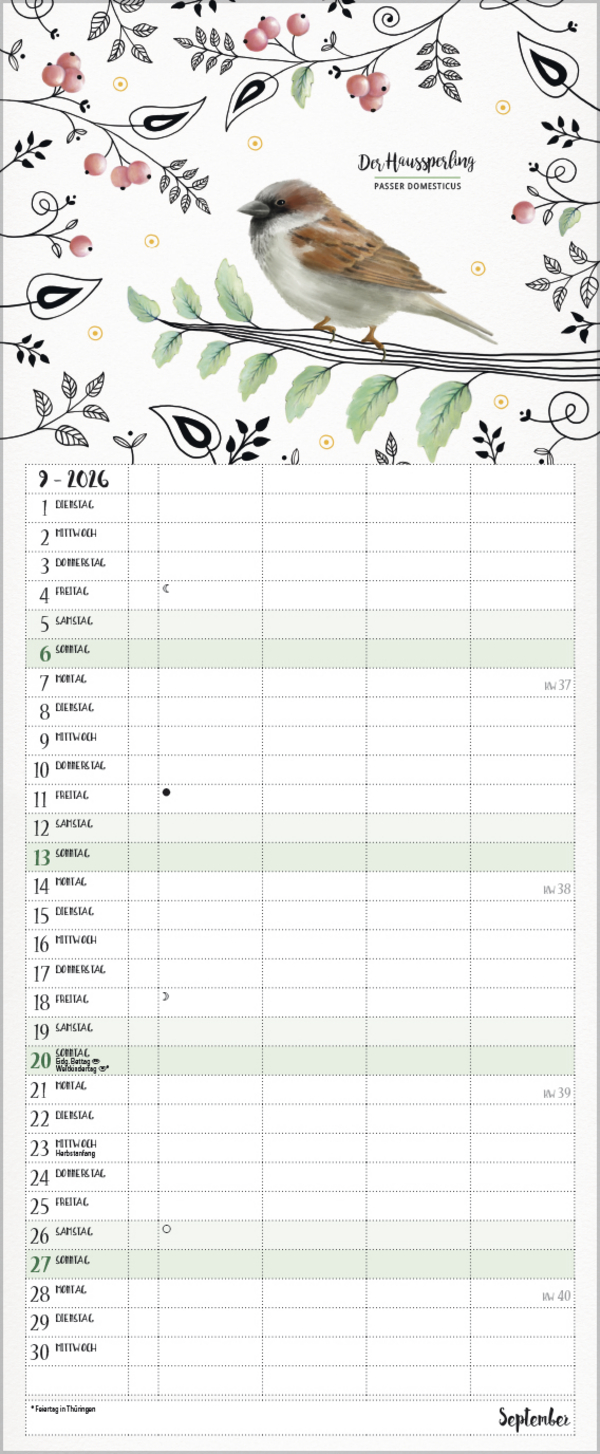 9783731886853_innenansicht_09 9783731886853_innenansicht_09.jpg