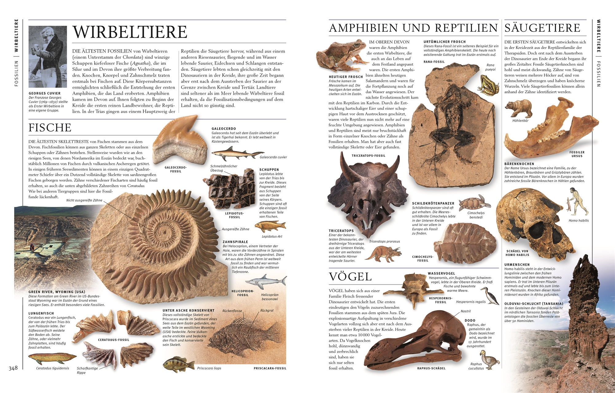 9783831048069_innenansicht_08.jpg