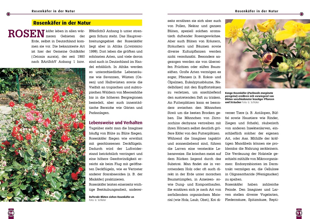 9783866595224_innenansicht_02 9783866595224_innenansicht_02.jpg