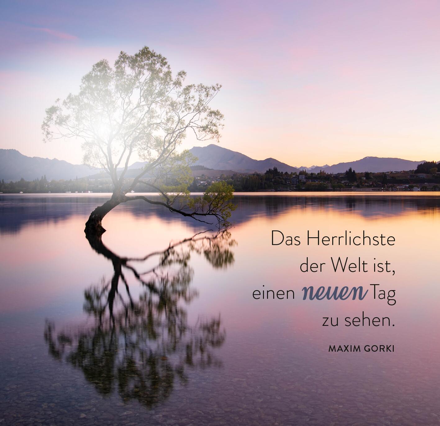 9783845862620_innenansicht_01.jpg