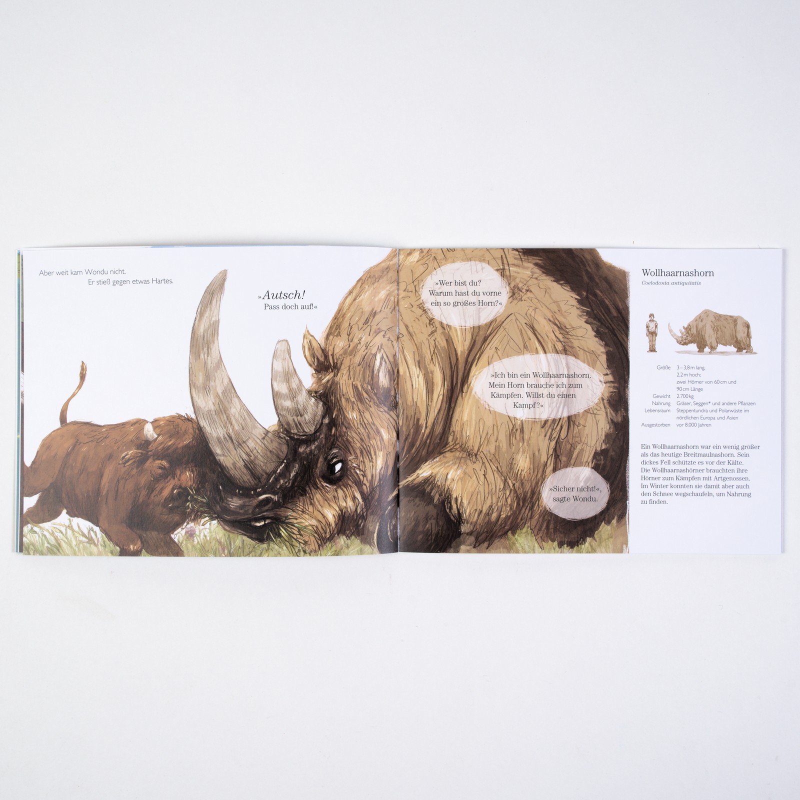 9783407762627_innenansicht_01 9783407762627_innenansicht_01.jpg