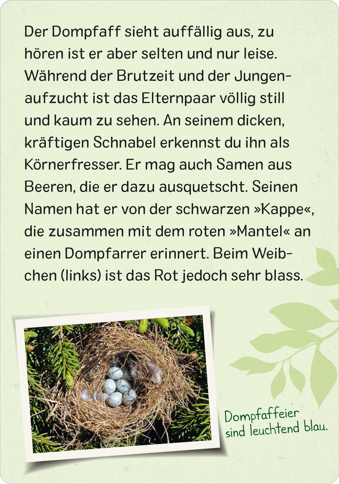 9783845856599_innenansicht_04.jpg