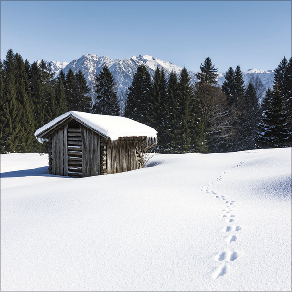 9783731883814_innenansicht_12 9783731883814_innenansicht_12.jpg