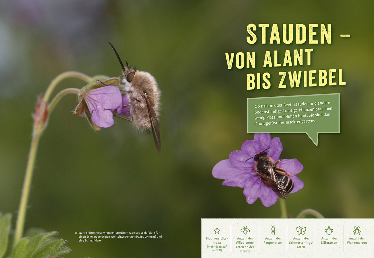 9783818623906_innenansicht_04.jpg