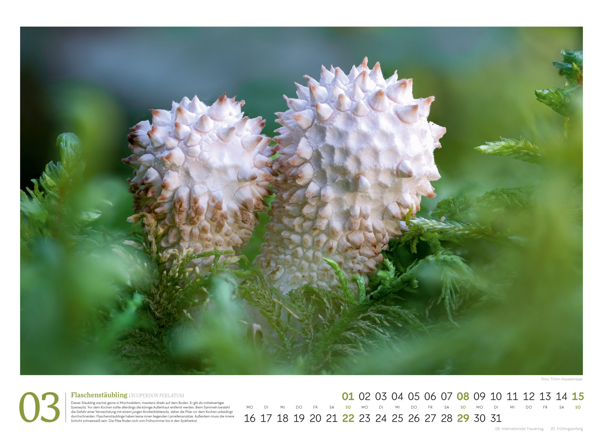 9783838436333_innenansicht_03 9783838436333_innenansicht_03.jpg