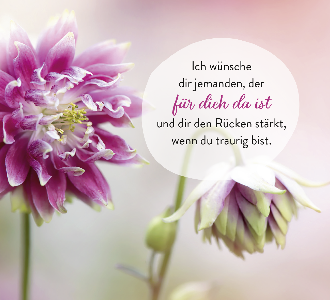 9783848503780_innenansicht_02.png