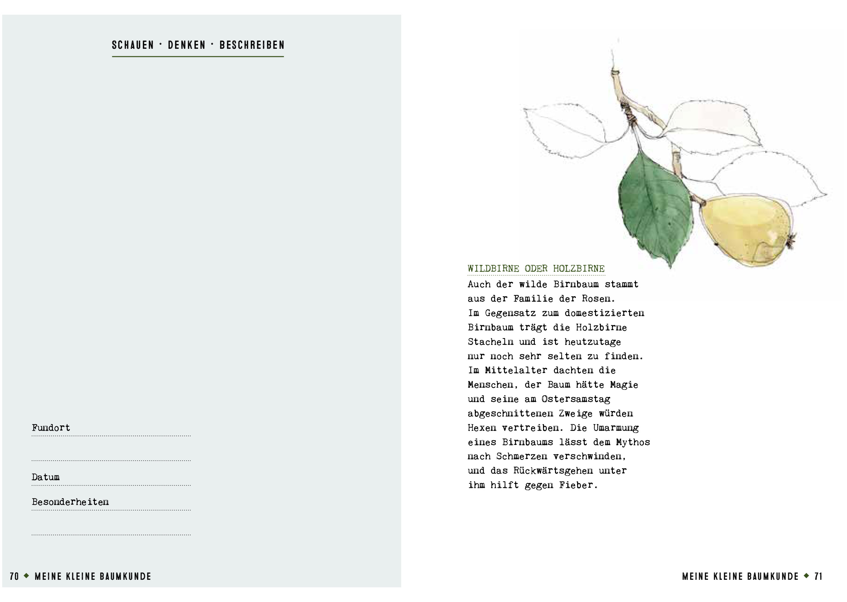 9783959102681_innenansicht_03 9783959102681_innenansicht_03.jpg