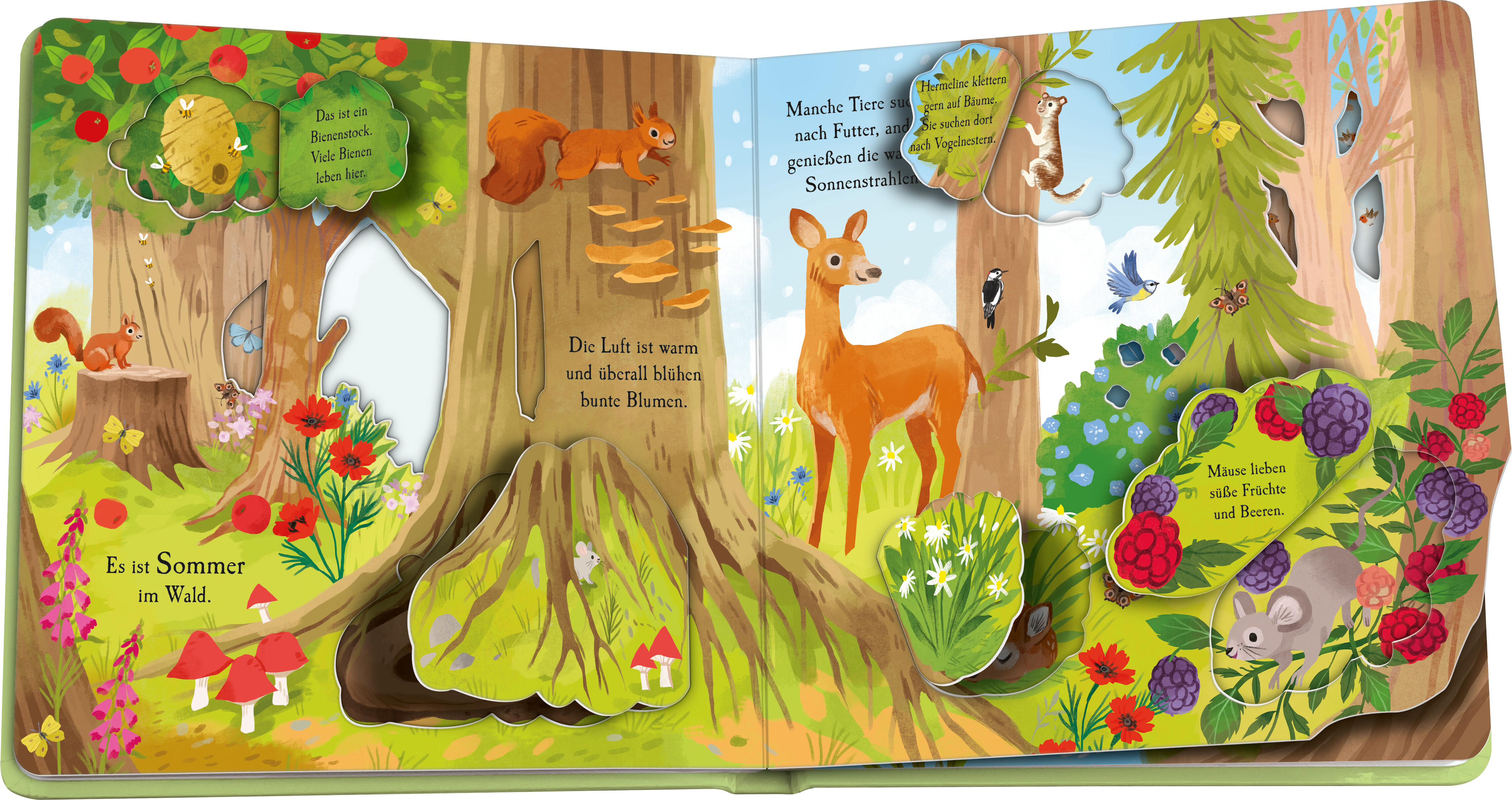 9783473420513_innenansicht_01 9783473420513_innenansicht_01.jpg