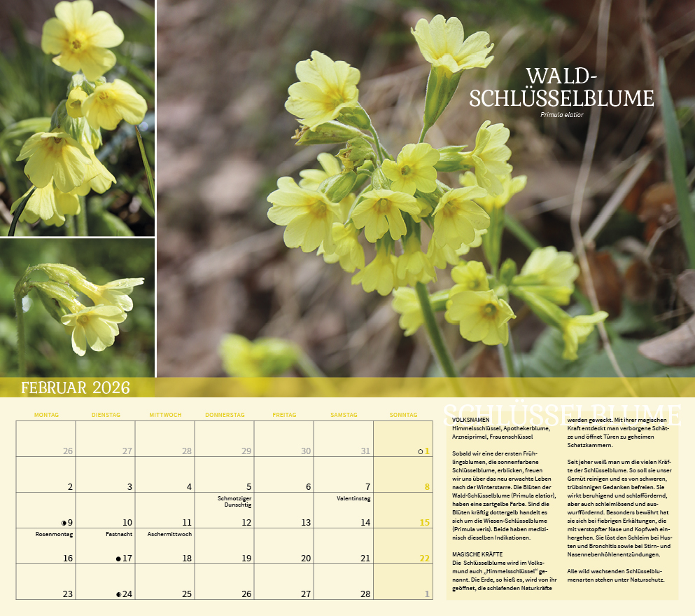 9783861925309_innenansicht_02 9783861925309_innenansicht_02.jpg