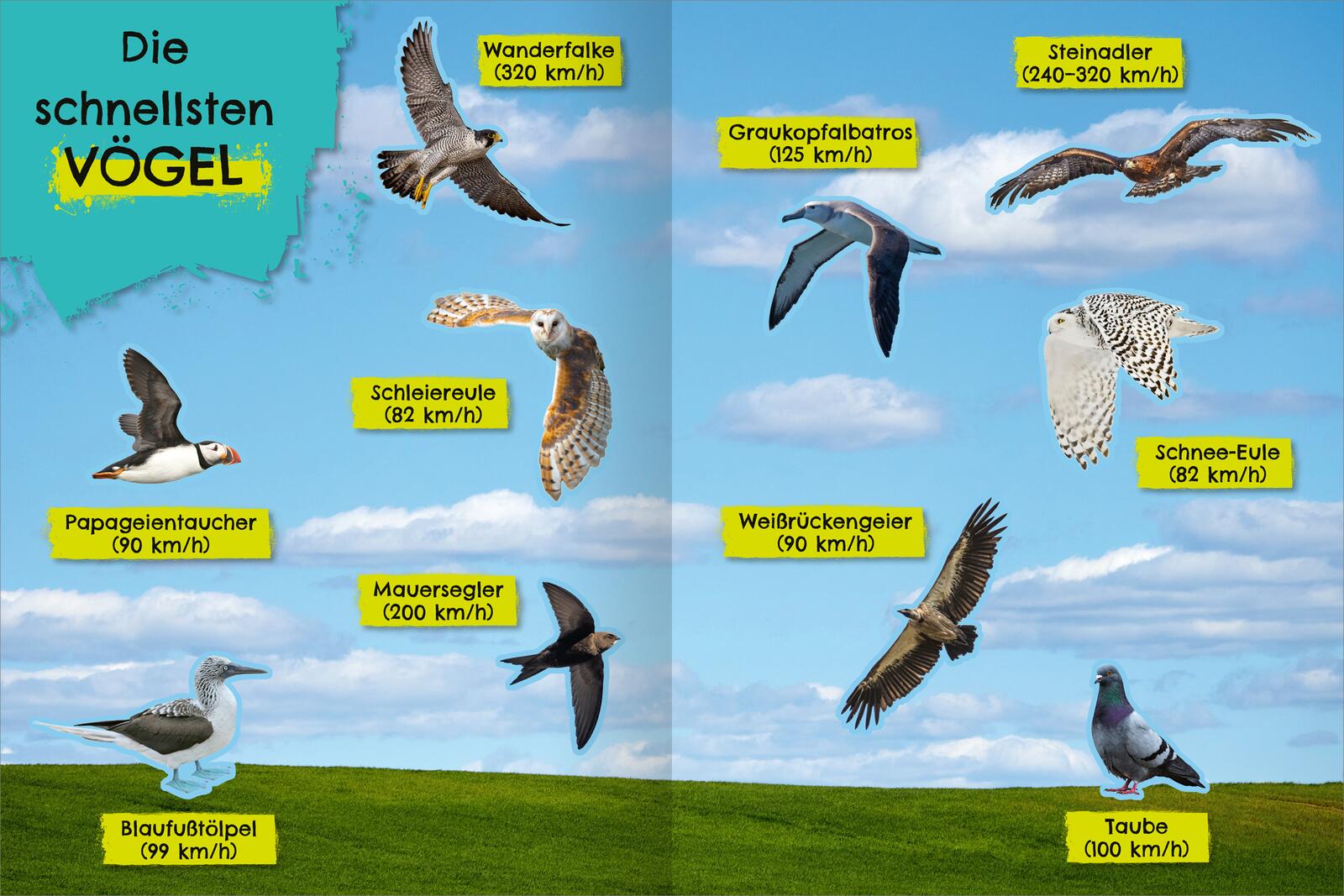 9783845862170_innenansicht_03 9783845862170_innenansicht_03.jpg