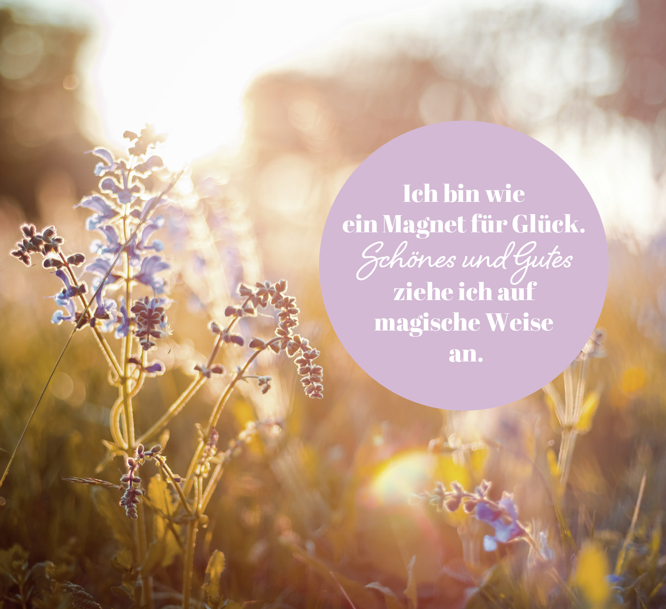 9783848502103_innenansicht_01.jpg