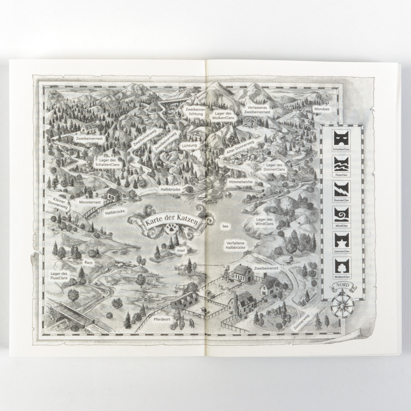 9783407813206_innenansicht_01 9783407813206_innenansicht_01.jpg