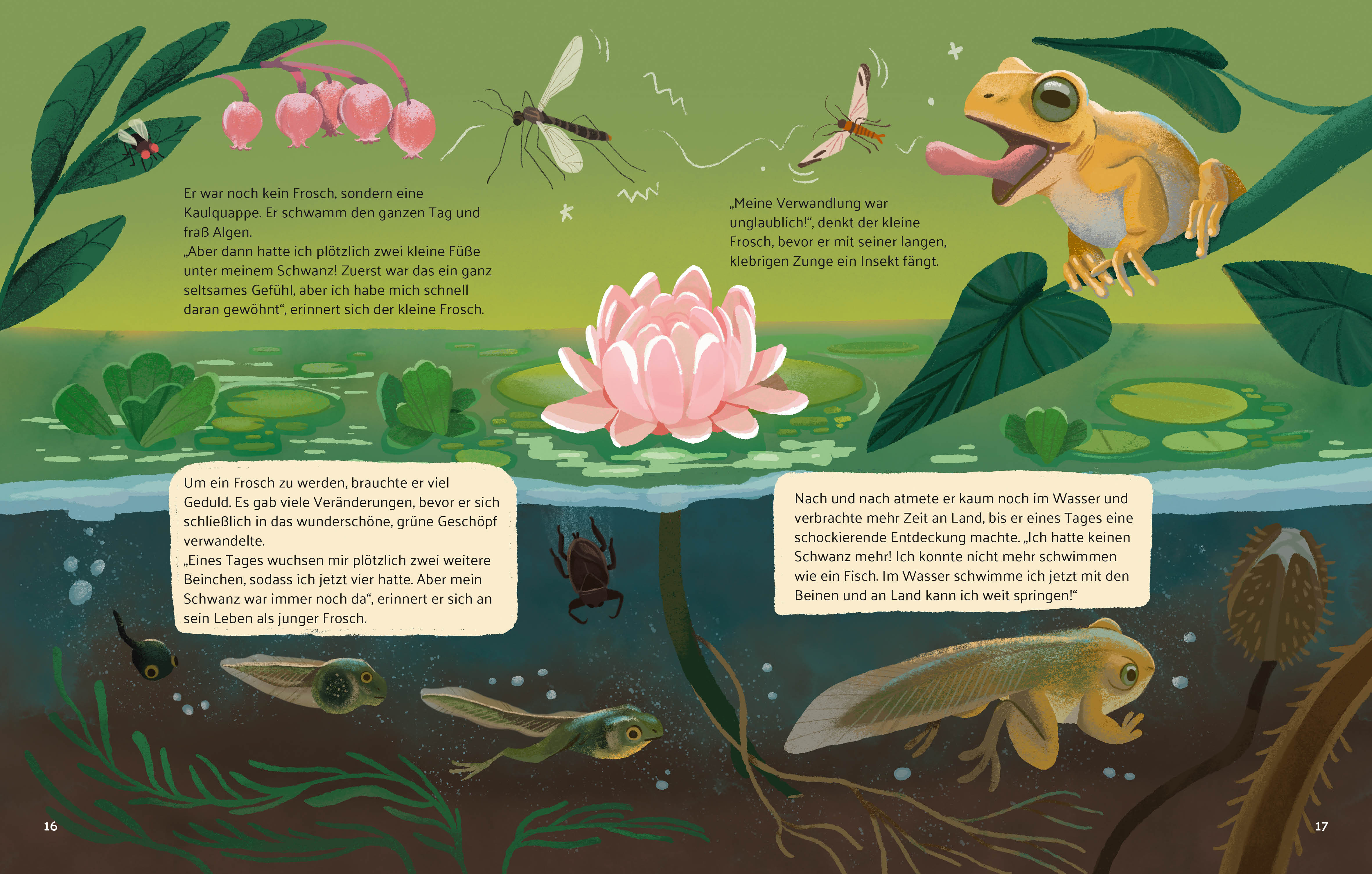 9788863127102_innenansicht_08 9788863127102_innenansicht_08.jpg