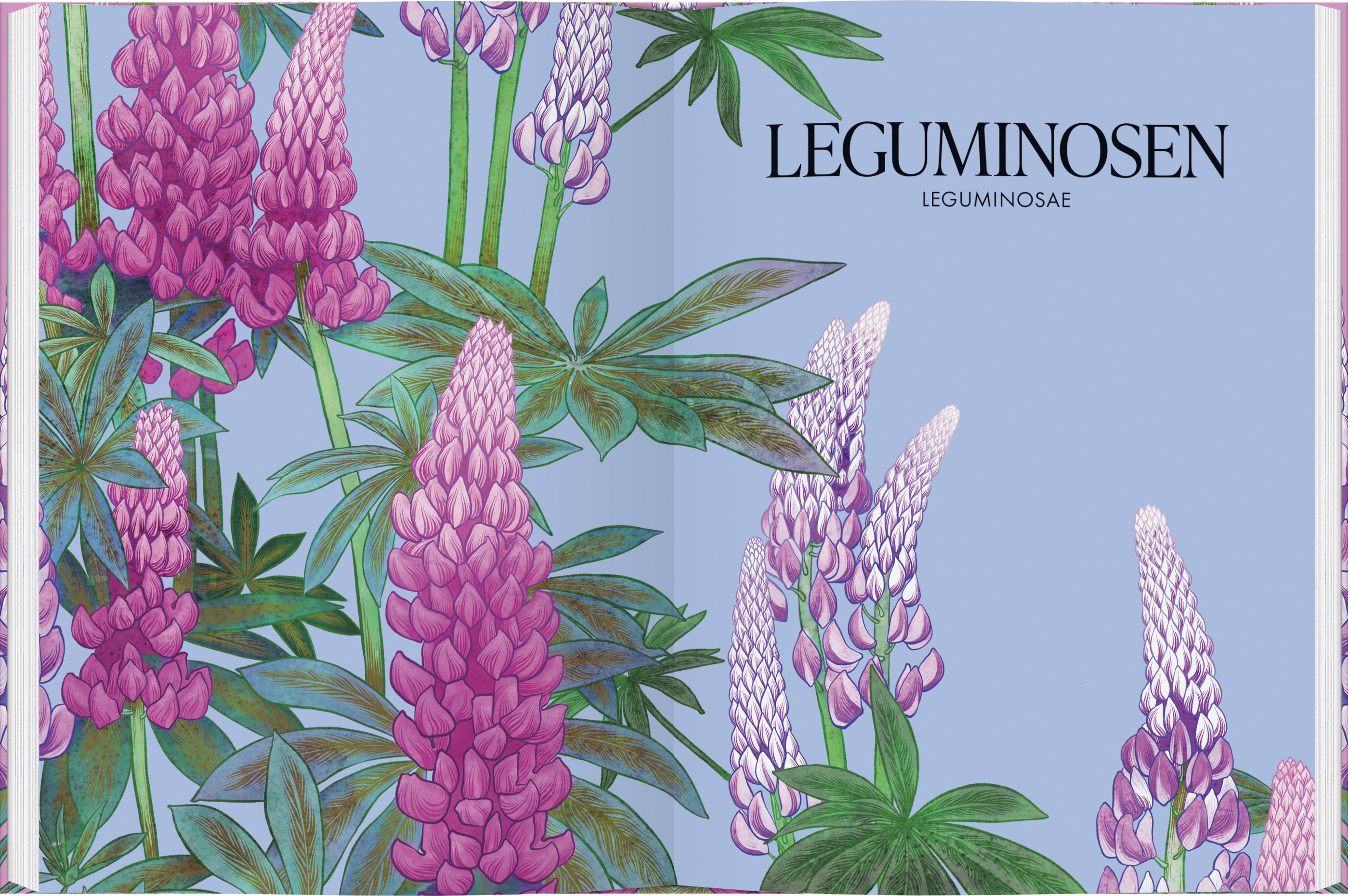 9783836922081_innenansicht_01 9783836922081_innenansicht_01.jpg