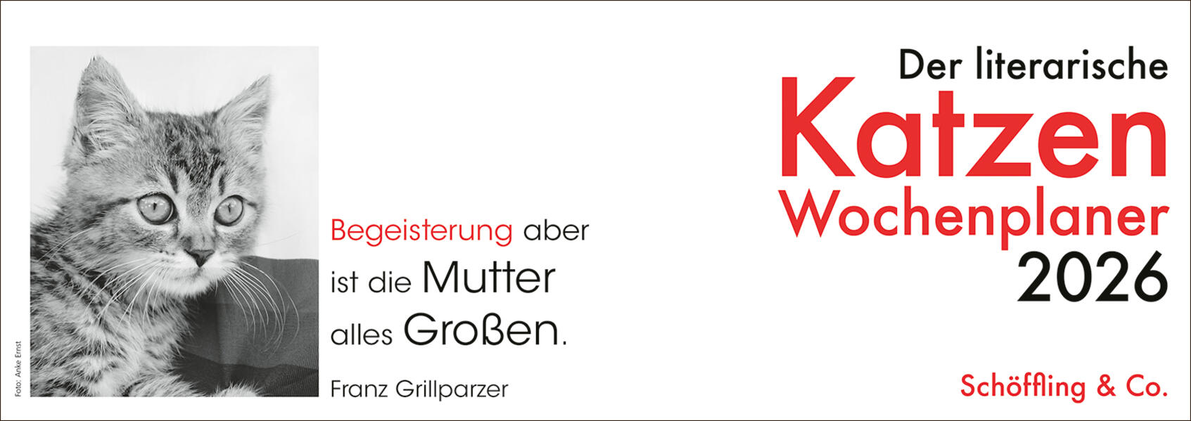 9783895617225 9783895617225