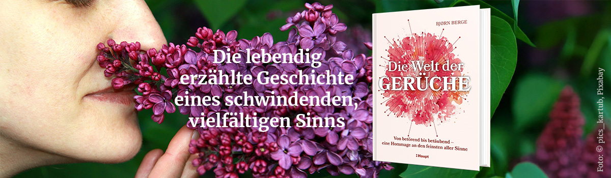 9783258084367_buehnenbild.jpg