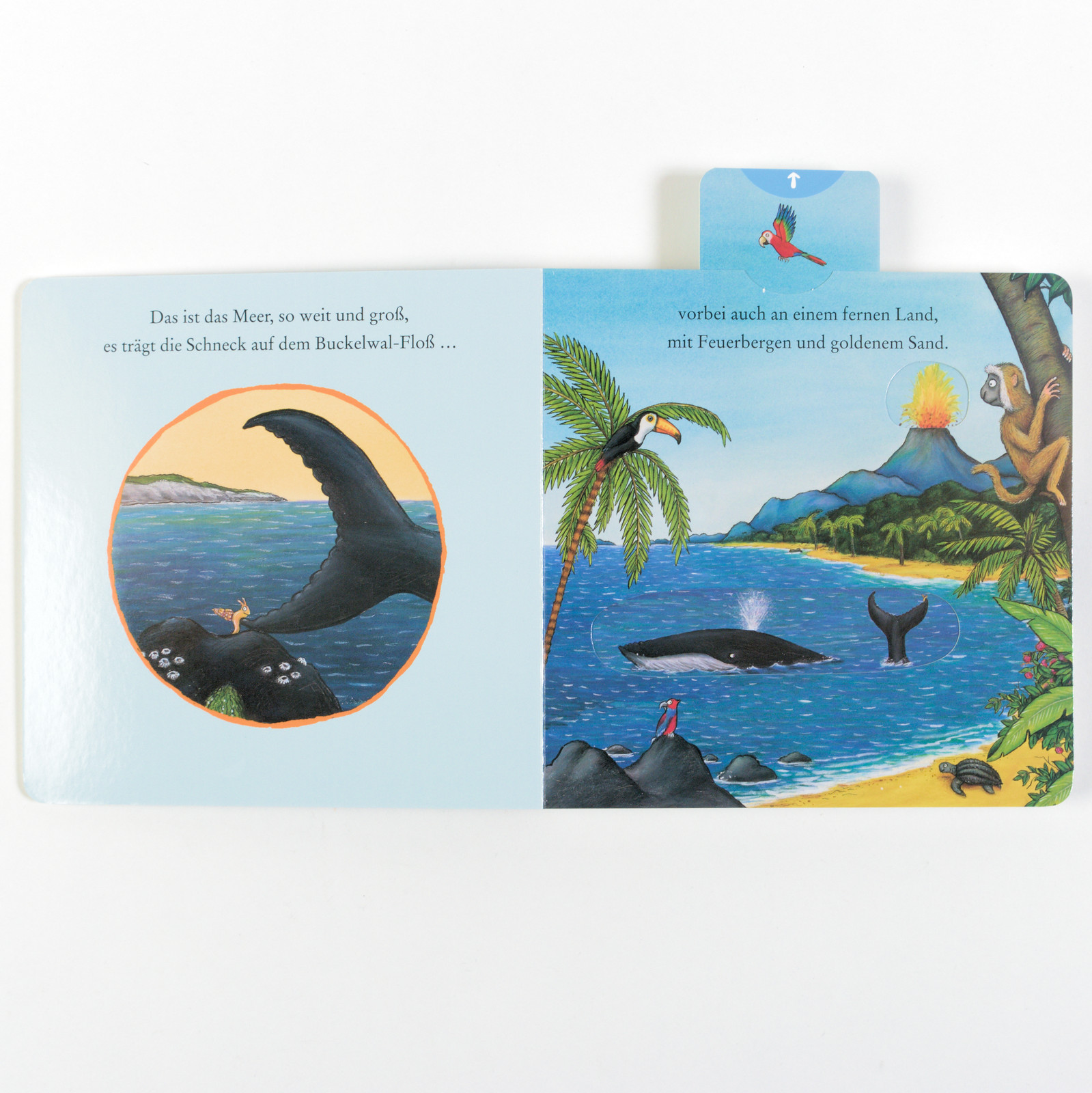 9783407757142_innenansicht_02 9783407757142_innenansicht_02.jpg