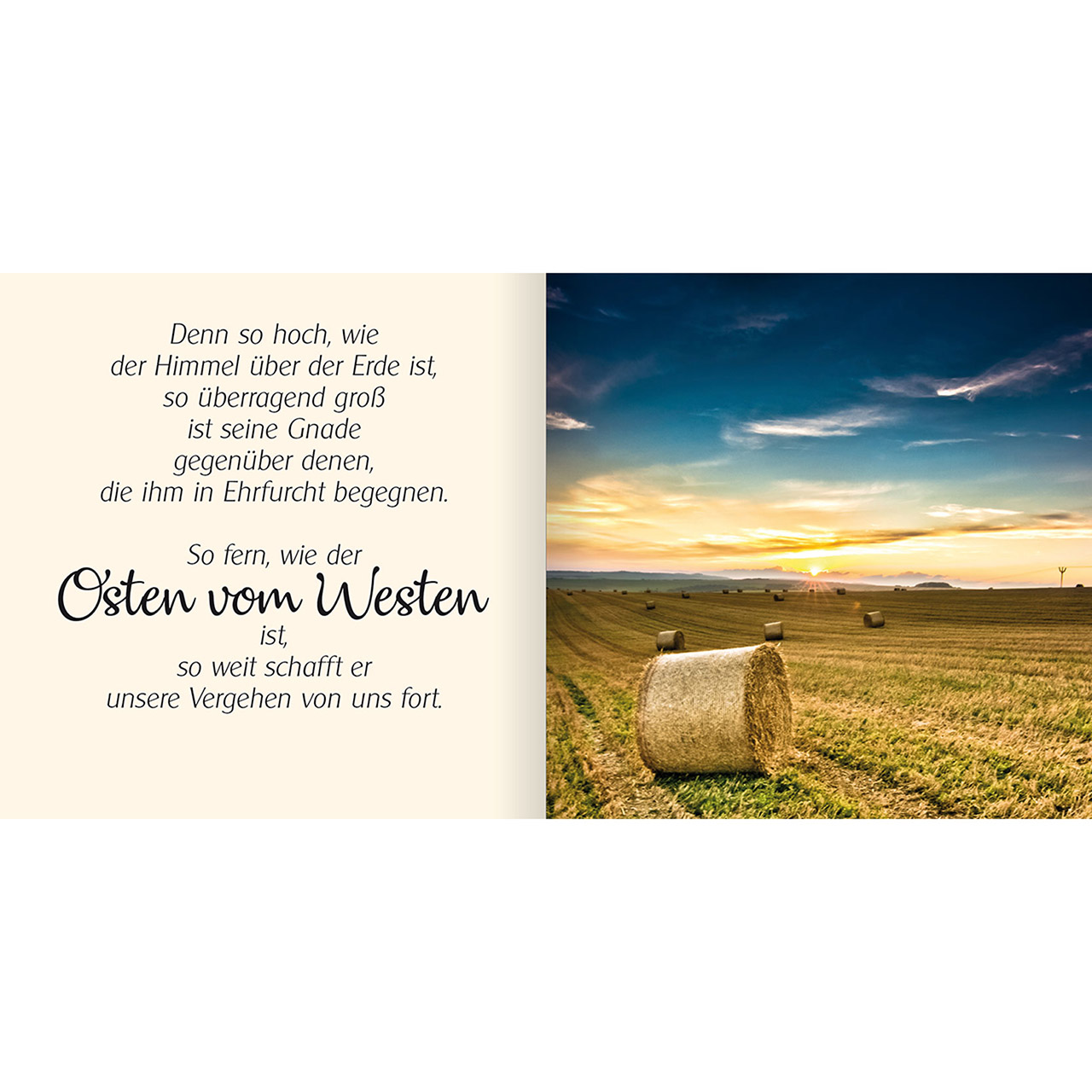 9783863382063_innenansicht_03.jpg