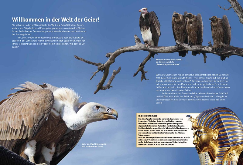 9783866595002_innenansicht_01 9783866595002_innenansicht_01.jpg