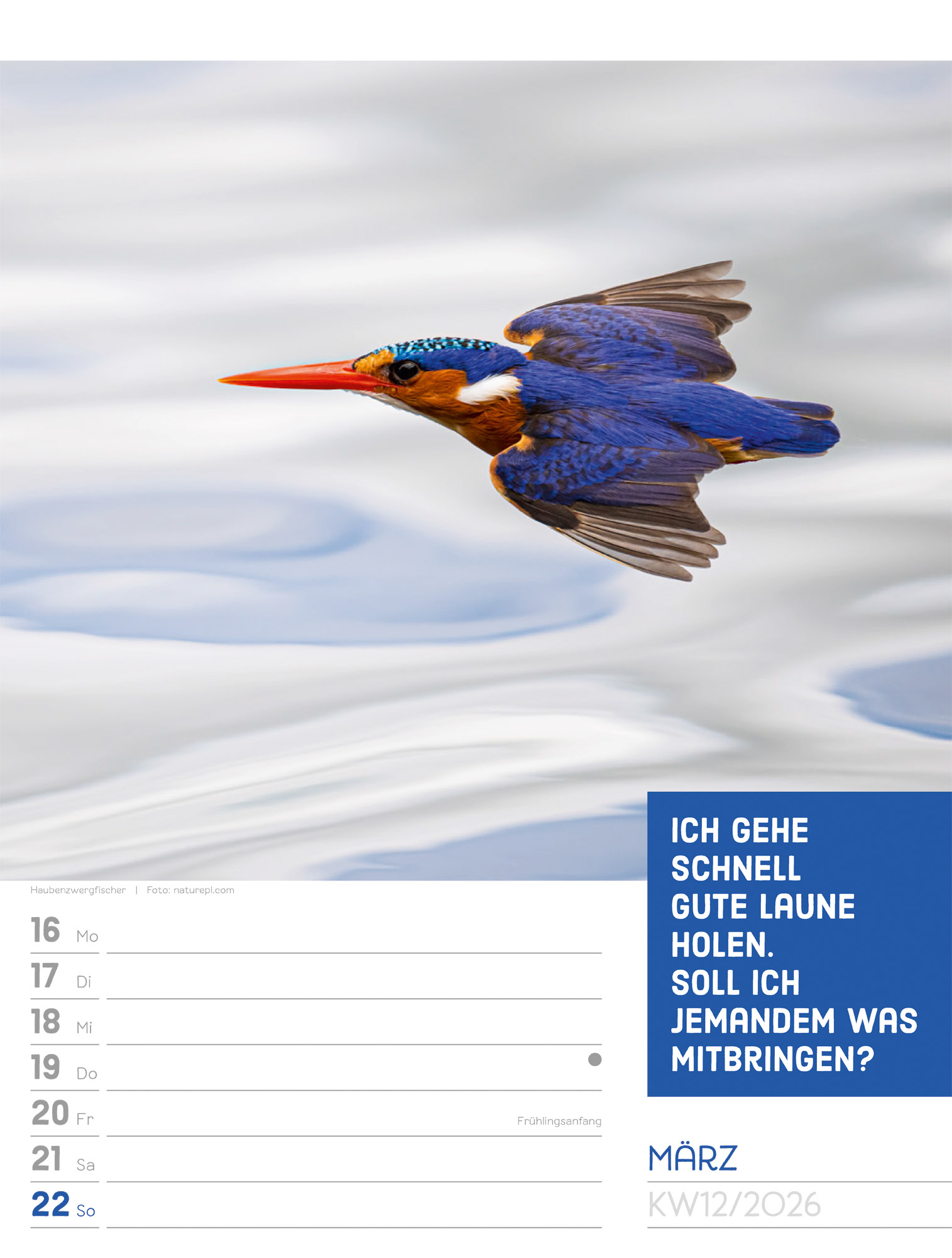9783838426969_innenansicht_15.jpg