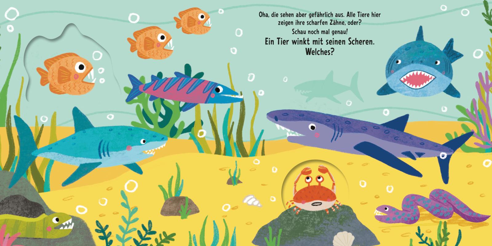 9783551173270_innenansicht_02.jpg