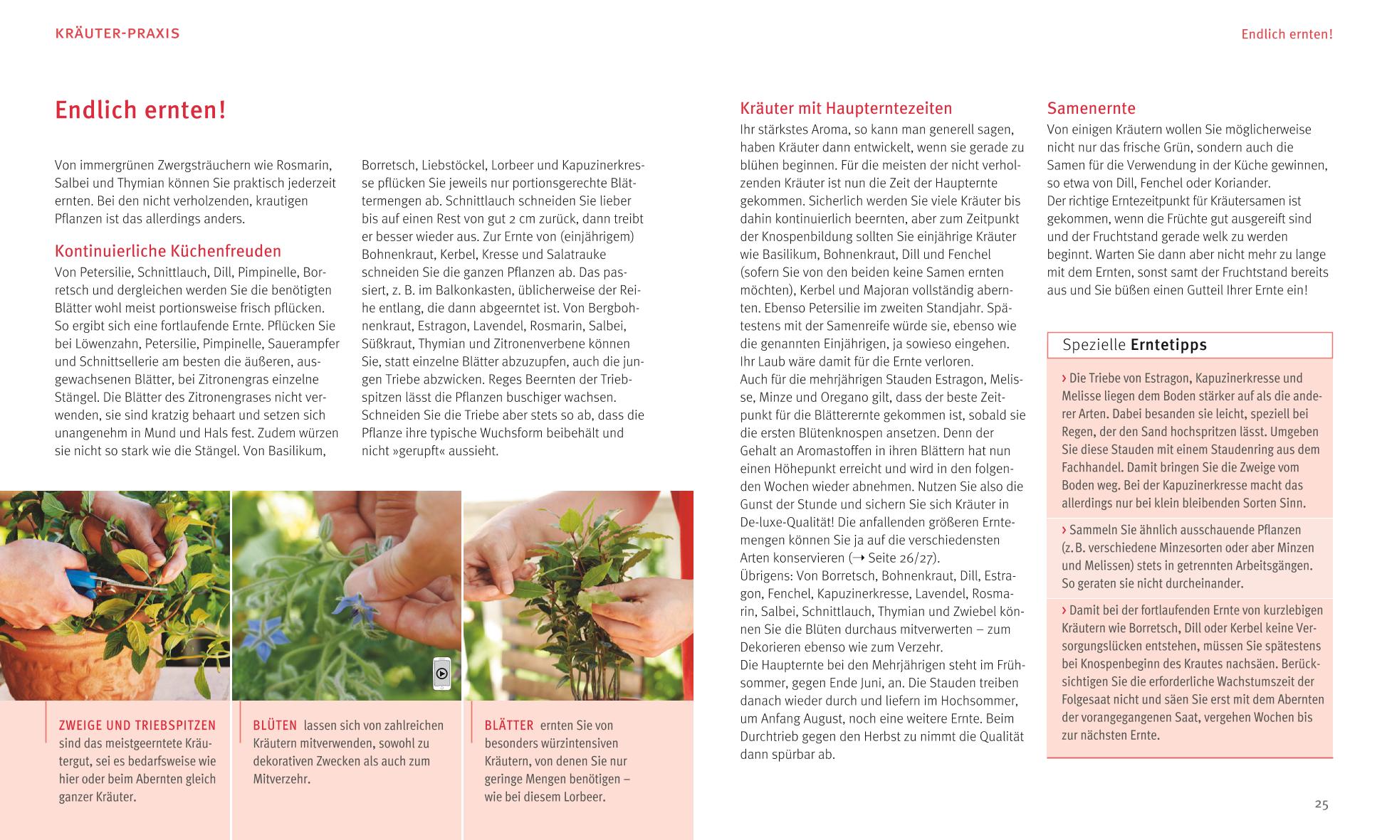 9783833838613_innenansicht_02 9783833838613_innenansicht_02.jpg