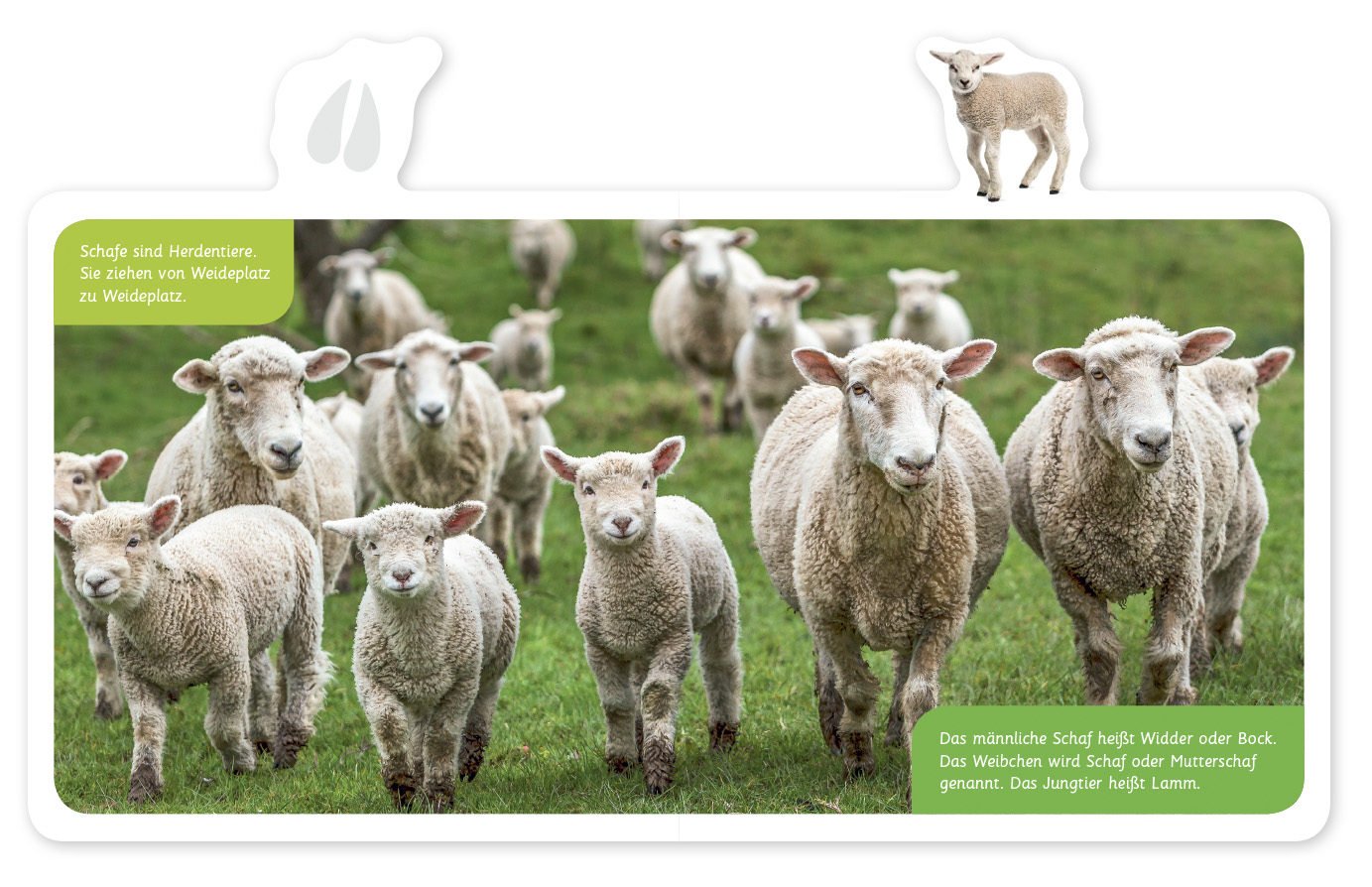 9783946360377_innenansicht_02 9783946360377_innenansicht_02.jpg