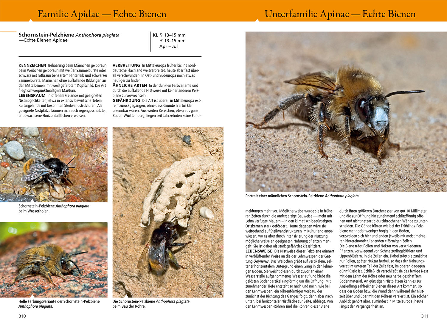 9783440179826_innenansicht_04 9783440179826_innenansicht_04.jpg