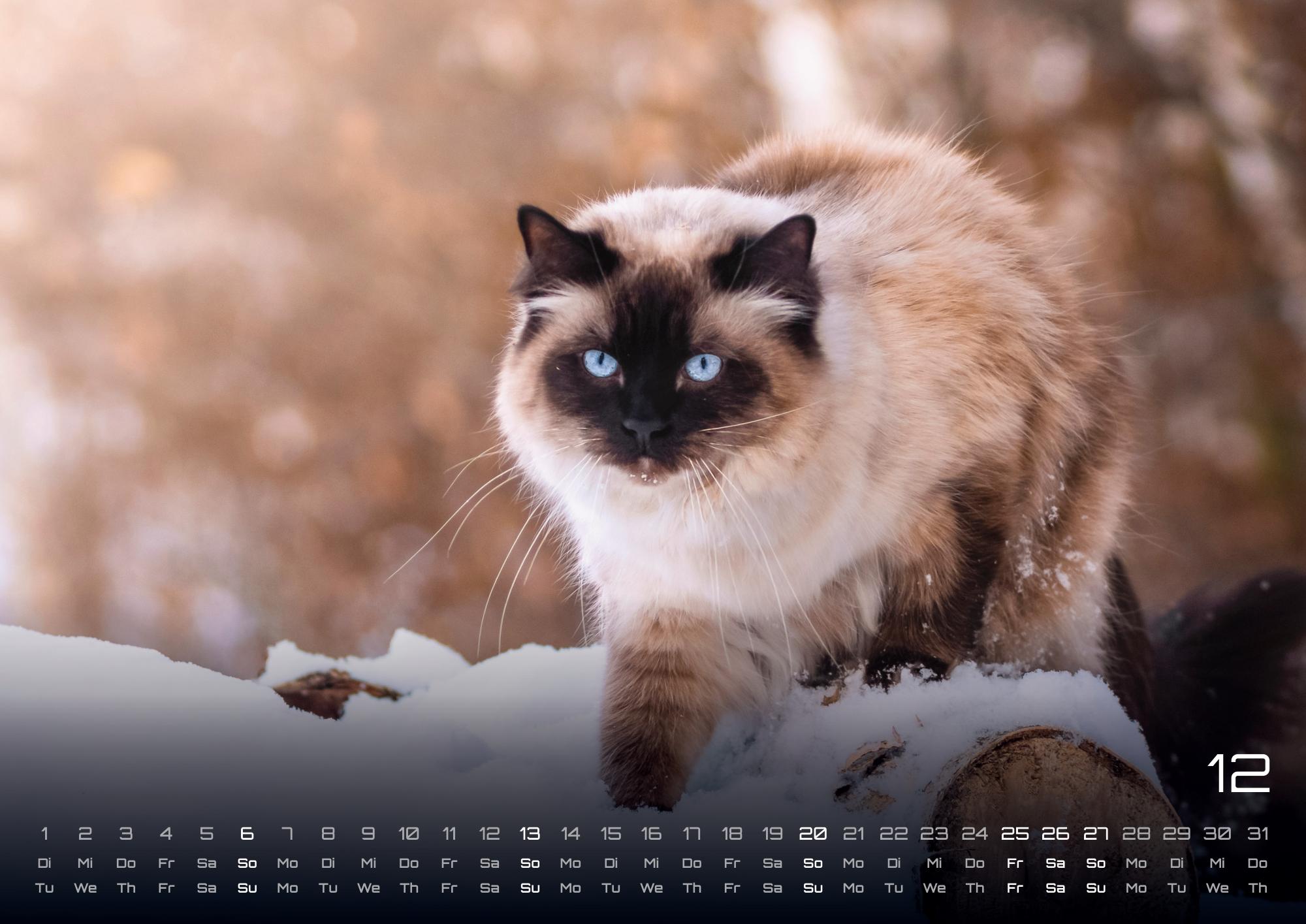 9783986735463_innenansicht_12 9783986735463_innenansicht_12.jpg