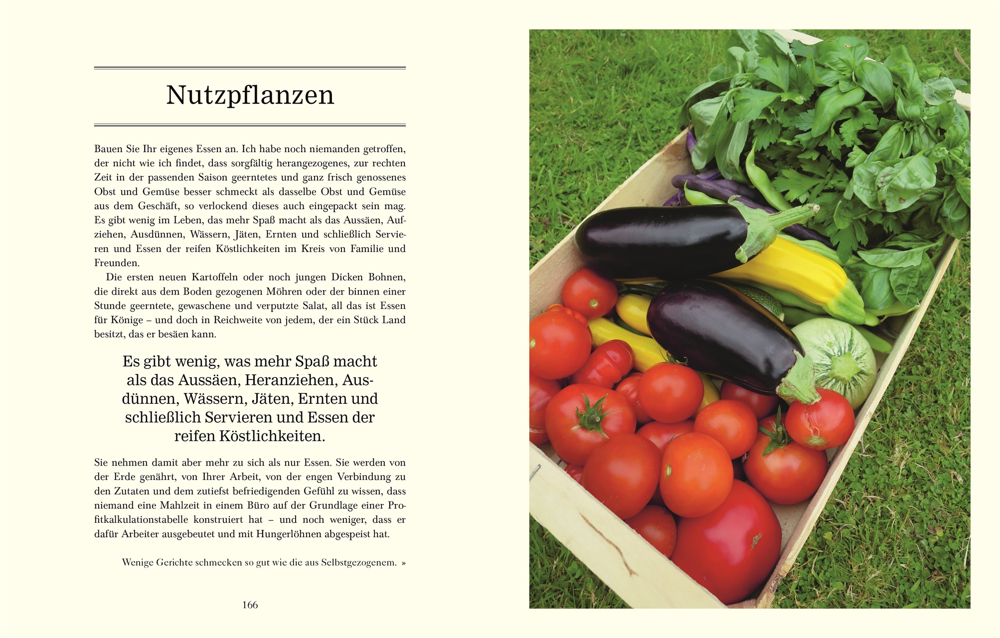 9783831037247_innenansicht_08.jpg