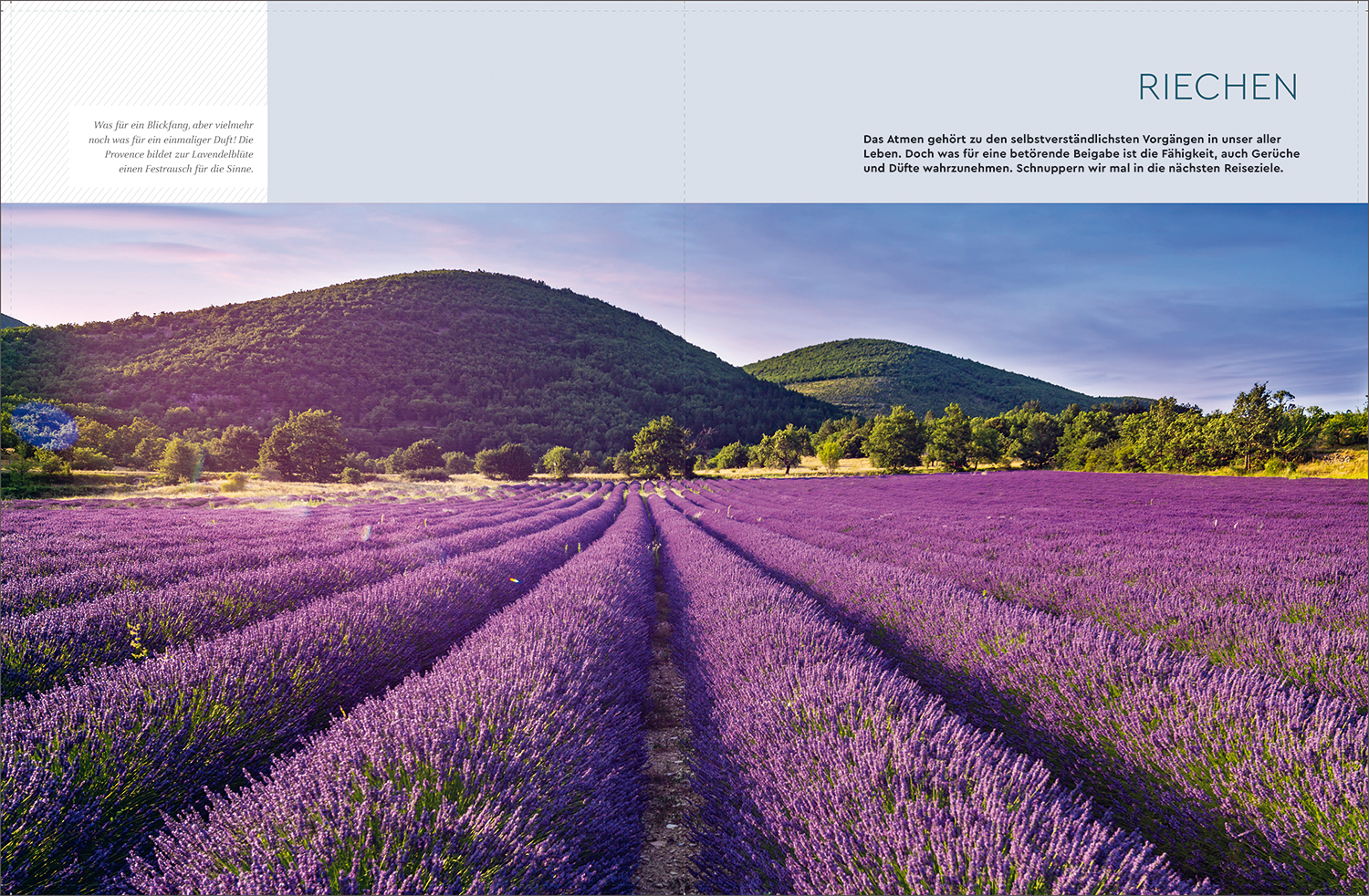 9783969651827_innenansicht_10 9783969651827_innenansicht_10.jpg