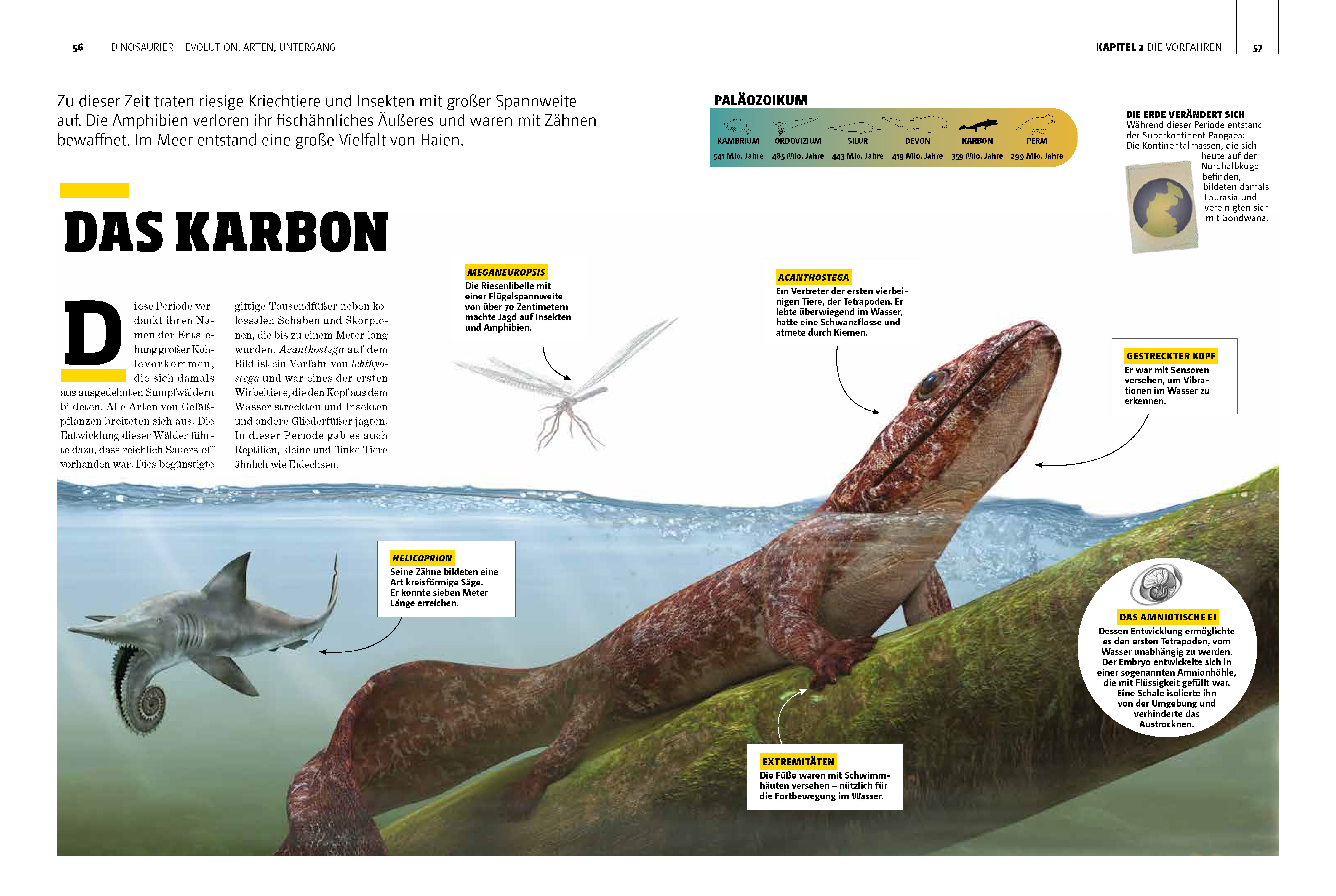 9783625191063_innenansicht_04 9783625191063_innenansicht_04.jpg