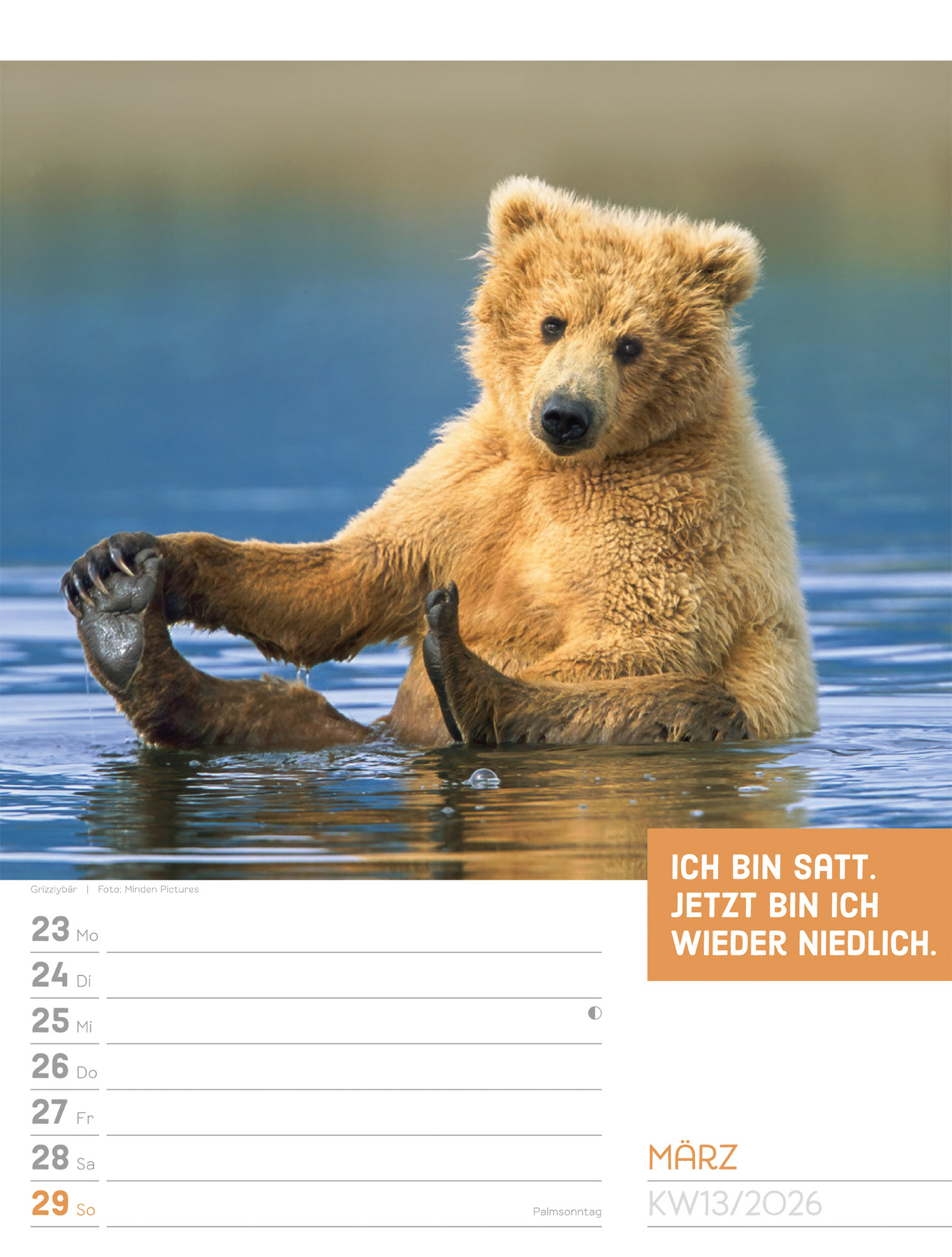 9783838426969_innenansicht_16.jpg